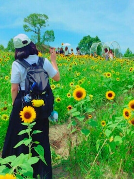 「ひまわり畑」｜「アイテム（キャップ）」を使った、본다(Min)さん（レディース・160cm）の夏コーディネート