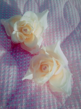 ちょこぱん❤︎さんのコーディネート