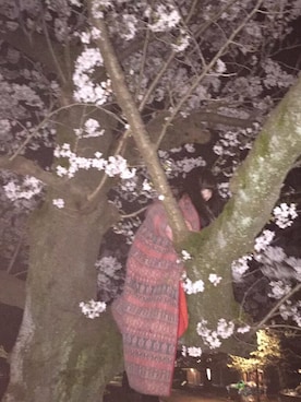 クワハラレイコさんのコーディネート