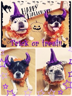 ✧:*HA$H*:✧さんのコーディネート