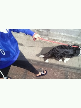 yumaさんのコーディネート