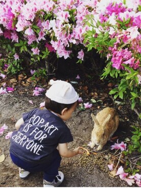 nao_toRAさんのコーディネート