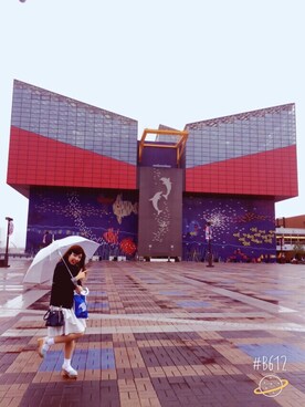 p  i  c  o  ◎さんのコーディネート