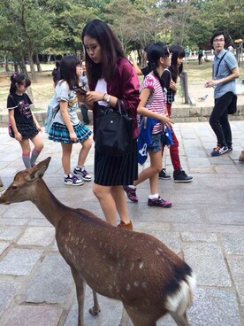 niciさんのコーディネート