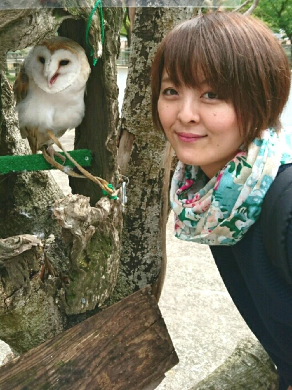 ブルー系のワンピース、ベージュ系のストール/ショール、その他のその他を着用したレディースの春コーディネートの1枚目の写真