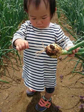 MikAnさん（キッズ・80cm）の夏コーディネート