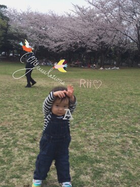 Ankoさんのコーディネート