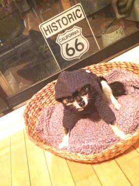 Rie Izumiさんのコーディネート