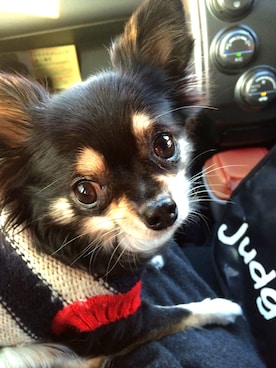 Rie Izumiさんのコーディネート