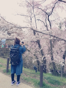 きりんさんのコーディネート