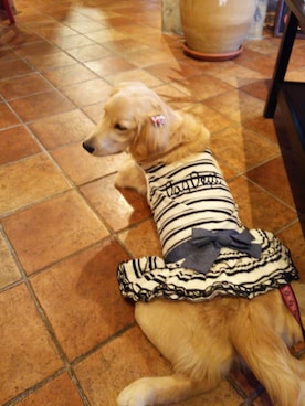 angeさんのコーディネート