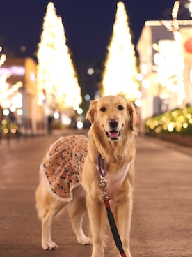 angeさんのコーディネート