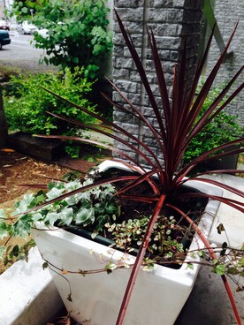 yutaさんのコーディネート