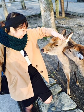 yuka omotoさんのコーディネート