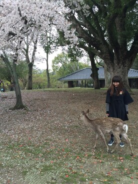 geminiさんのコーディネート
