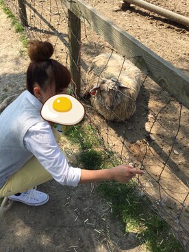 「CONVERSE（コンバース）のCONVERSE / CVS ALL STAR OX（スニーカー、ホワイト系）」を使った、0さん（レディース・155cm）の冬コーディネート