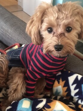 san☻さんのコーディネート