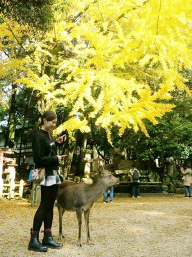 「Beyond Closet（-）のアイテム」を使った、Ssiupakさん（レディース・167cm）の秋コーディネート