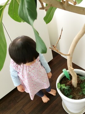 CCOさんのコーディネート