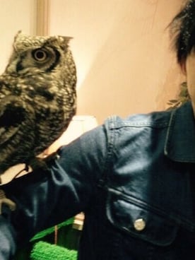 kohei TBKさんのコーディネート