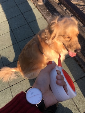 fu3iko☆さん（レディース・161cm）の冬コーディネート