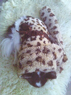 melodyさんのコーディネート