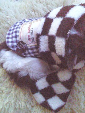 melodyさんのコーディネート