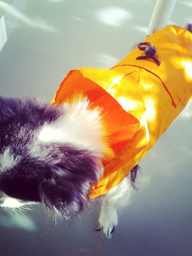 melodyさんのコーディネート