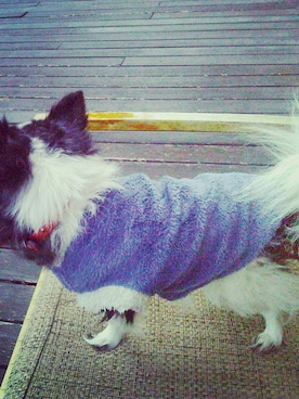 melodyさんのコーディネート