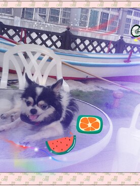 melodyさんのコーディネート