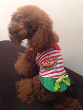 てとさんのコーディネート