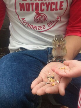 961mgnさんのコーディネート