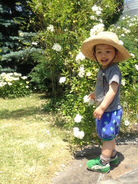 おはなさん（キッズ・90cm）の夏コーディネート