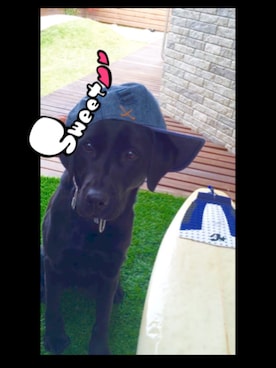 Yosshi-さんのコーディネート