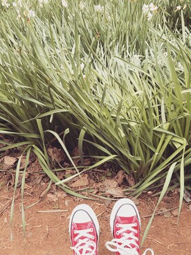 komikaさんのコーディネート