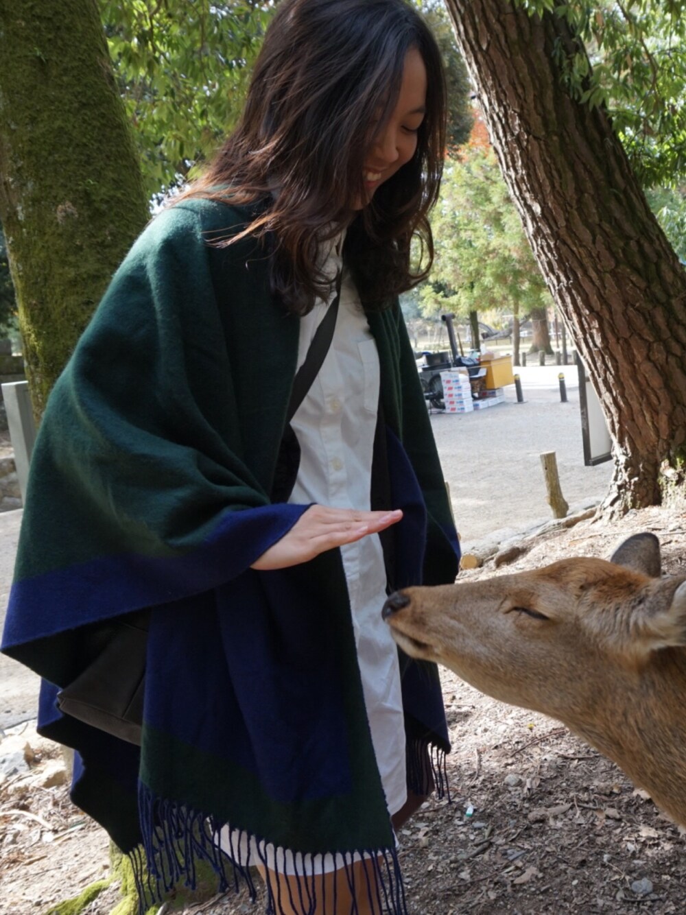「deer」｜「UNIQLOのアイテム（マフラー、グリーン系）」を使った、maxxさん（レディース・161cm）の冬コーディネートの1枚目の写真