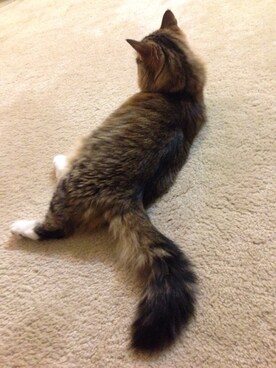 kristinさんのコーディネート