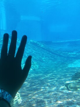 Katnipさんのコーディネート