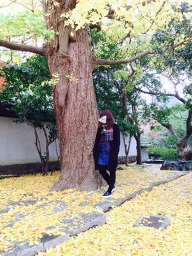 シンディさんのコーディネート