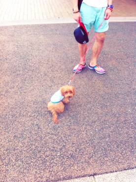 虎テツさんのコーディネート