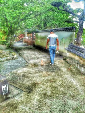 平嶋 日向さんのコーディネート