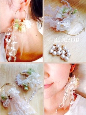 めぐんごさんのコーディネート