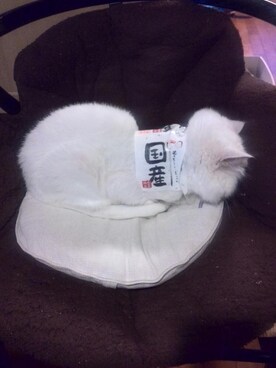 ninoさんのコーディネート