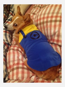 ♡YURI♡さんのコーディネート