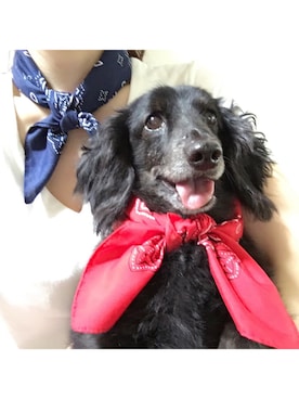 miさんのコーディネート