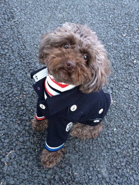 「カシミヤ」｜「アイテム（ピーコート）」を使った、さとみんさん（レディース・170cm）の冬コーディネート