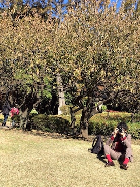 Teraさんのコーディネート