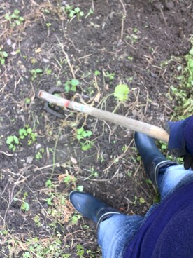 あこさんのコーディネート