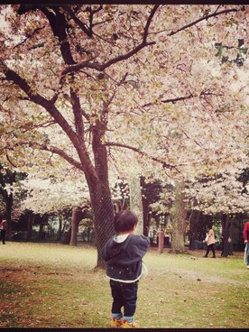 せえさんのコーディネート