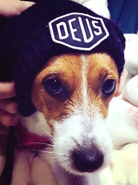 k.さんのコーディネート